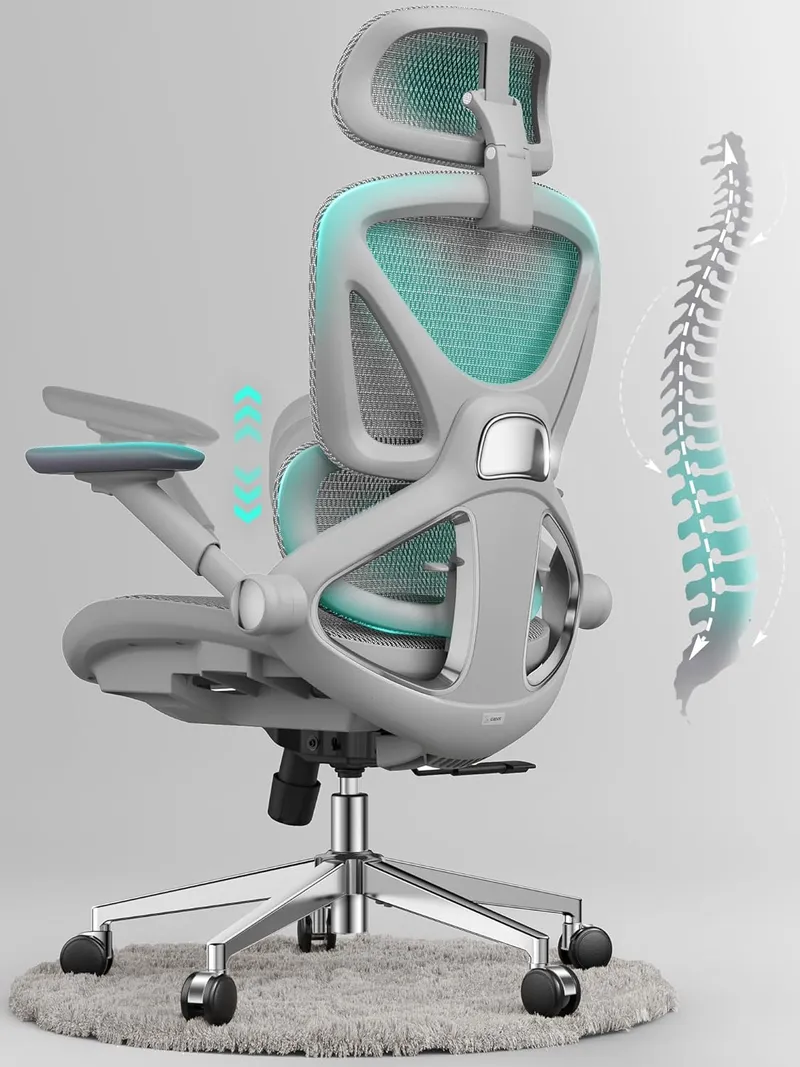 CAPOT Ergonomic Mesh Office Chair, Grey